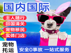 芒市机场空运国际宠物托运 【国